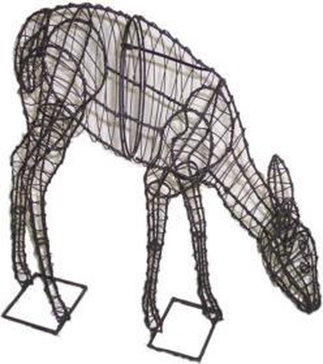 Hert Grazend - Frame