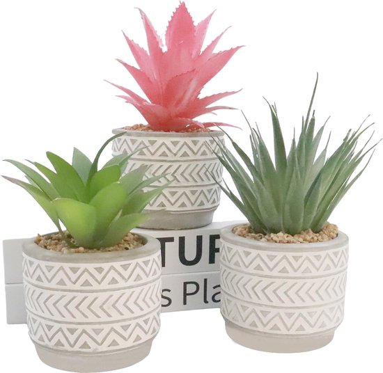 Set van 3 kunstmatige vetplanten, mini-valse bonsai met cementpot voor keuken, kantoor, keuken, badkamer, badkamerdecoratie