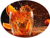 PVC Schuimplaat Ovaal - Glas - Drinken - Ijs - Fruit - Sinaasappel - Spetters - Druppels - 68x51 cm Foto op Ovaal (Met Ophangsysteem)
