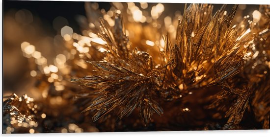Dibond - Kristal - Goud - 100x50 cm Foto op Aluminium (Met Ophangsysteem)