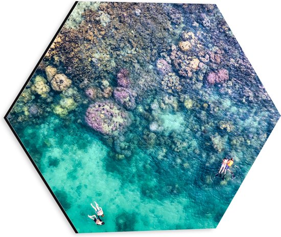 Dibond Hexagon - Duiken - Snorkelen - Toeristen - Zee - Oceaan - Koraal - 30x26.1 cm Foto op Hexagon (Met Ophangsysteem)