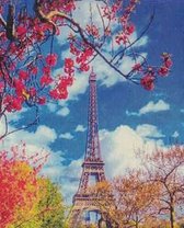 Tour Eiffel - Tour Eiffel en été - Peinture de diamants - 50x40 - pierres rondes