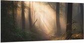 Vlag - Bomen - Bos - Pad - Zonlicht - Bladeren - 200x100 cm Foto op Polyester Vlag