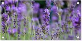 Tuinposter Lavendel - Bloemen - Natuur - Paars - 60x30 cm - Tuindoek - Buitenposter