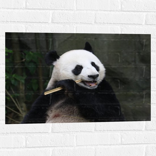 Muursticker - Panda zit en eet bamboe voor stenen achtergrond - 75x50 cm Foto op Muursticker