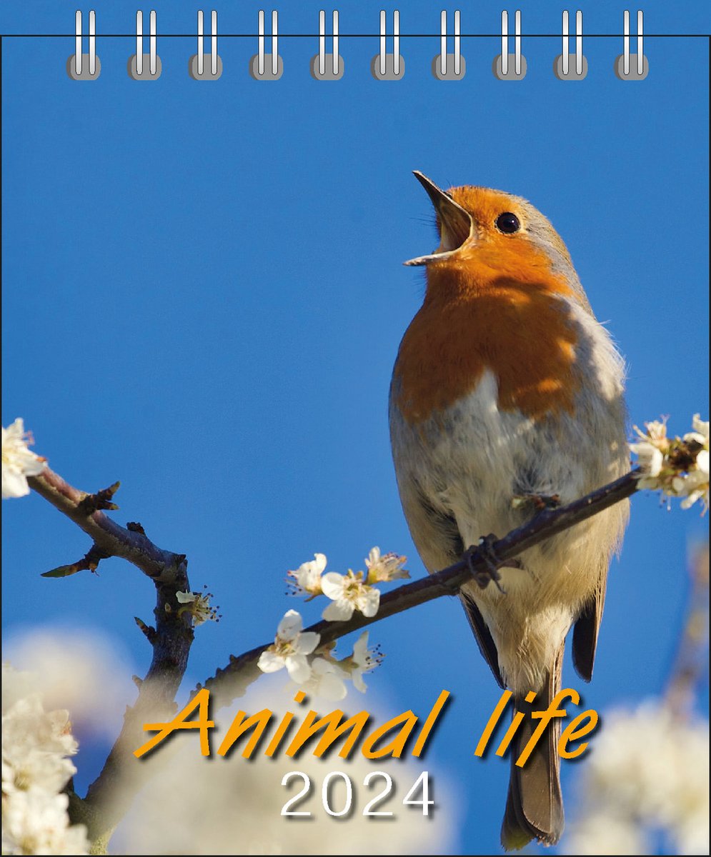 Animal life bureaukalender 2024