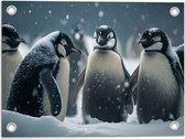 Tuinposter – Kleine pinguïns staan bij elkaar in de sneeuw - 40x30 cm Foto op Tuinposter (wanddecoratie voor buiten en binnen)