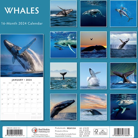 Whales (Walvissen) Kalender 2024