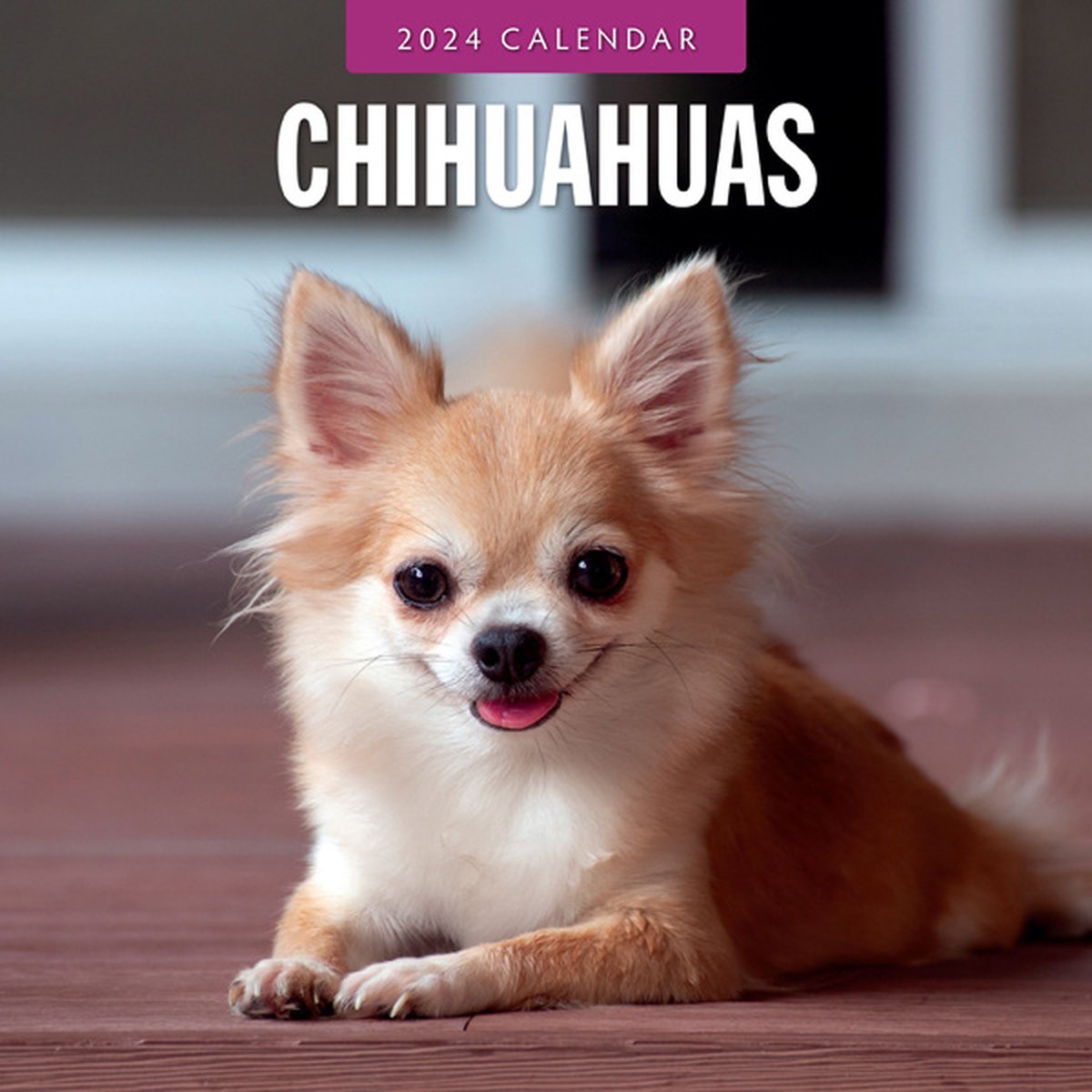 Calendrier 2024 Chihuahua