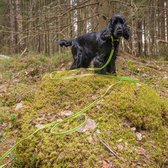 Rukka Pets Grip Tracking Leash - Speurlijn voor avontuurlijke honden - Neon Geel - Small - 300 cm lengte