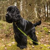 Rukka Pets Grip Tracking Leash - Speurlijn voor avontuurlijke honden - Neon Geel - Large - 1000 cm lengte