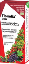 Salus Floradix IJzer-elixir - Mineralen - Bij vermoeidheid - Met ijzer en vitamine B12 - 250 ml