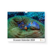 Huurdies - Oceaan Kalender - Jaarkalender 2024 - 35x24 - 300gms
