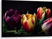 Canvas - Diverse Gekleurde Tulpen in het Donker - Bloemen - 100x75 cm Foto op Canvas Schilderij (Wanddecoratie op Canvas)