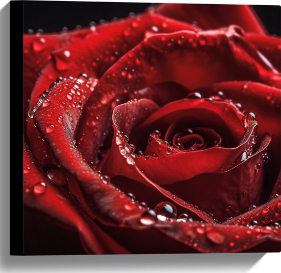 Canvas - Grote Rode Roos met Waterdruppels erop - Bloemen - 40x40 cm Foto op Canvas Schilderij (Wanddecoratie op Canvas)