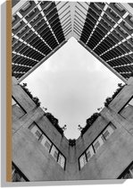 Hout - Onderaanzicht van Binnentuin in Flat (Zwart- wit) - 40x60 cm - 9 mm dik - Foto op Hout (Met Ophangsysteem)