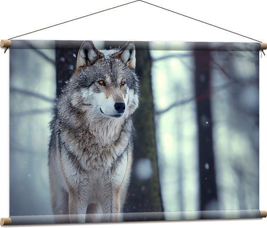 Textielposter - Wolf staat in een bos in de sneeuw - 90x60 cm Foto op Textiel