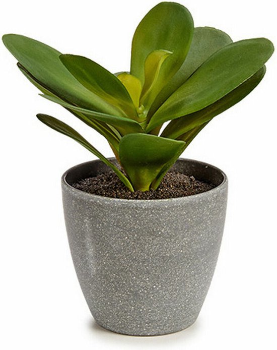 Decoratieve plant Lakens Rond Plastic 11 x 15 x 11 cm (6 Stuks)