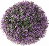 Decoratieve plant Klot Lavendel Plastic 40 x 40 x 40 cm