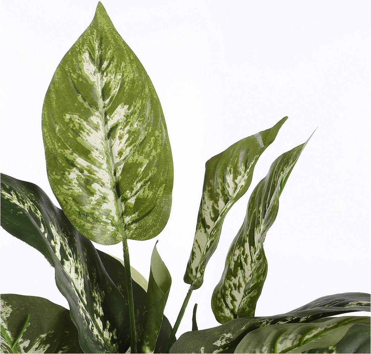 Mica Decorations Dieffenbachia Kunstplant in Bloempot Stan - H70 x Ø55 cm - Groen