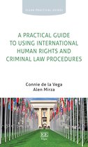 A Practical Guide to Using International Human Rights and Criminal Law Procedures