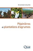Hors collection - Pépinières et plantations d'agrumes