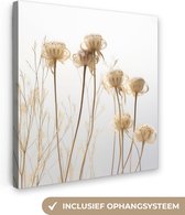 Canvas Schilderij Droogbloemen - Natuur - Botanisch - 50x50 cm - Wanddecoratie