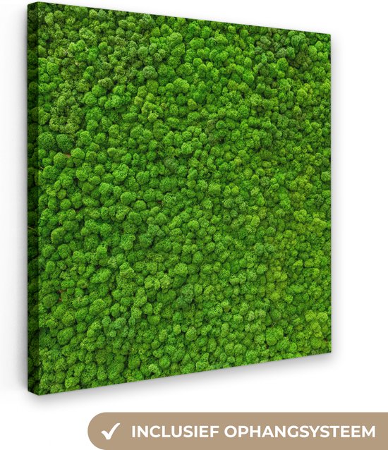 Canvas Schilderij Mos - Groen - Natuur - Bos - 90x90 cm - Wanddecoratie