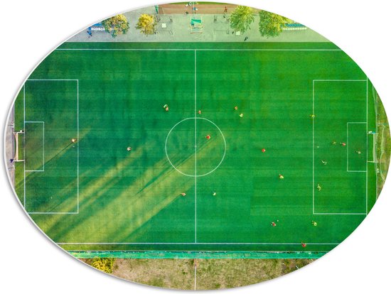 PVC Schuimplaat Ovaal - Bovenaanzicht van Voetballers op Voetbakveld - 68x51 cm Foto op Ovaal (Met Ophangsysteem)