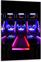 Dibond - Ballengooien Spel in Arcade Hal - 80x120 cm Foto op Aluminium (Wanddecoratie van metaal)