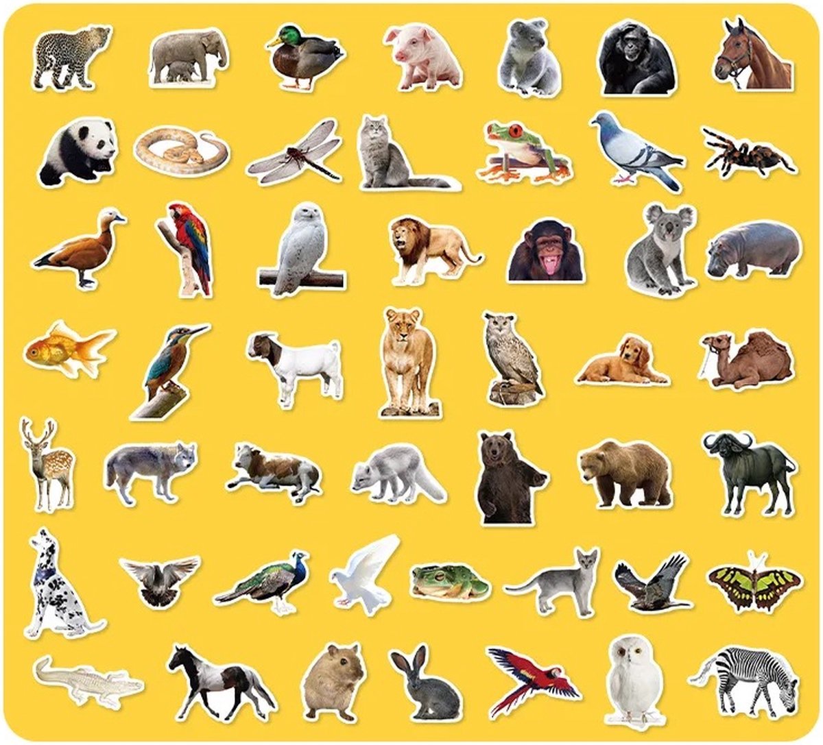 Dieren Stickers 50 Stuks | Animals Stickers | Dierentuin Dieren | Aap | Vlinder | Leeuw | Panda | Vis | Kameel | Laptop Stickers | Stickers Kinderen en Volwassenen | Stickervellen | Plakstickers | Koffer Stickers | Stickers Bullet Journal en Planner — afbeelding 6