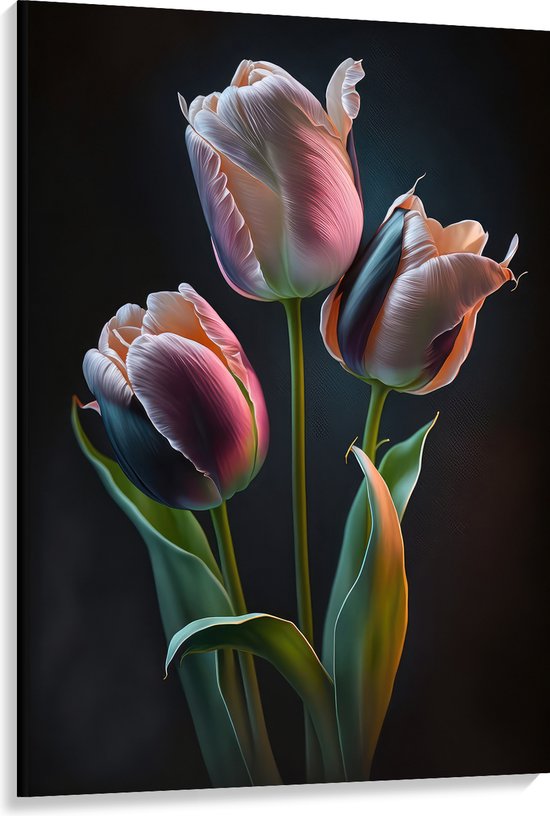 Canvas - Roze tulpen voor een zwarte achtergrond - Bloemen - 100x150 cm Foto op Canvas Schilderij (Wanddecoratie op Canvas)