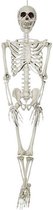 Halloween - hangend skelet - 90cm - horror decoratie