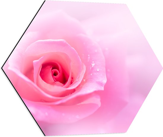 Dibond Hexagon - Mooie Licht Roze Roos op Licht Roze Wolkje - Bloemen - 60x52.2 cm Foto op Hexagon (Met Ophangsysteem)