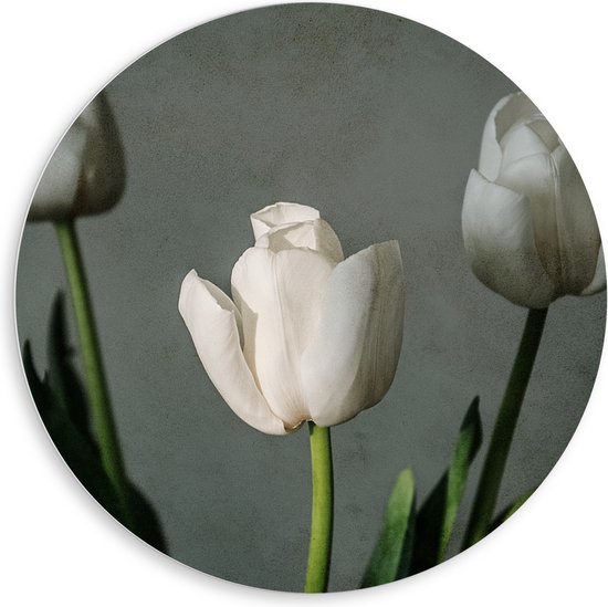 PVC Schuimplaat Muurcirkel - Witte Tulpen Op Lange Stengels voor Grijze Achtergrond - Bloemen - 80x80 cm Foto op Muurcirkel (met ophangsysteem)