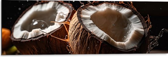 Dibond - Eten - Fruit - Kokosnoten - Druppels -Kleuren - 90x30 cm Foto op Aluminium (Met Ophangsysteem)