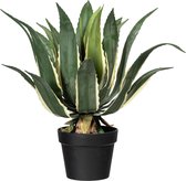 Kopu® Kunstplant Agave Variegeta 57 cm in zwarte Pot - 25 bladeren