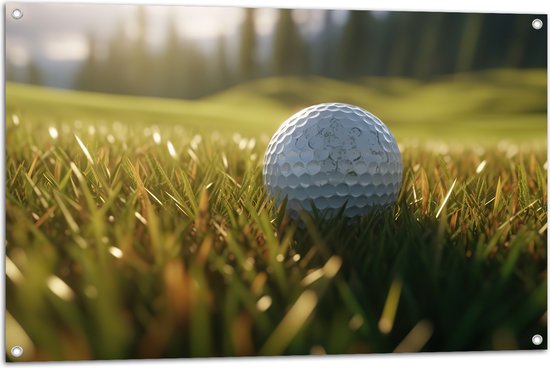 Tuinposter – Gras - Golf - Golfbal - 105x70 cm Foto op Tuinposter (wanddecoratie voor buiten en binnen)