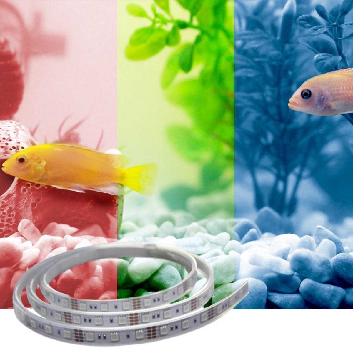Ruban led 50 à 70 cm RGB pour aquarium - Set complet
