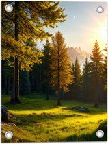 Tuinposter – Landschap - Bomen - Gras - Stenen - Zon - 30x40 cm Foto op Tuinposter (wanddecoratie voor buiten en binnen)