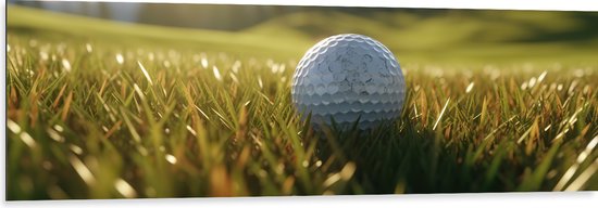 Dibond - Gras - Golf - Golfbal - 150x50 cm Foto op Aluminium (Wanddecoratie van metaal)