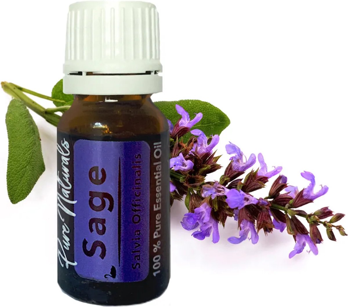 Goedkoopste Essentiële Olie Aromatherapie - Biologisch - Sage (Salie) - Flesje 10ml - Pure Naturals