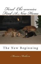 Feral Chi-Weenies Find a New Home