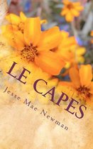 Le Capes Certificat d'Aptitude Pour Enseignants Sans-Emploi?!