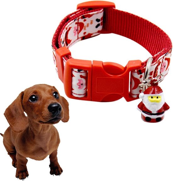 Waarschijnlijk Ik heb een Engelse les toezicht houden op halsband voor kleine hond kerst | bol.com