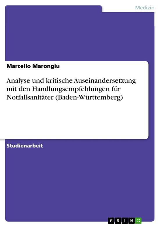 Analyse und kritische Auseinandersetzung mit den Handlungsem ... - cover