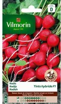 Vilmorin zaden - Radijs Tinto HF1