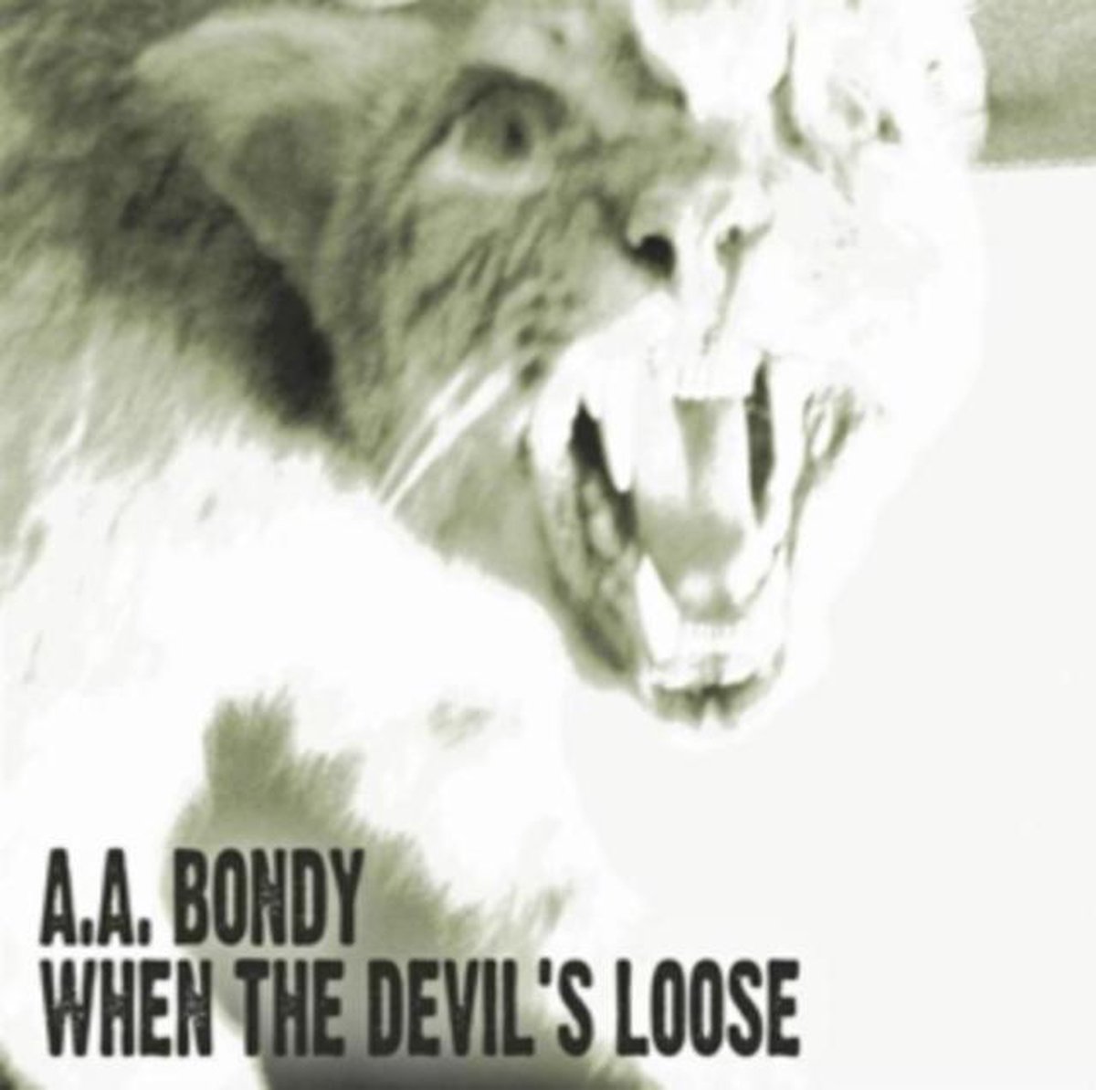 When The DevilS Loose - A.A. Bondy