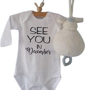 Baby tekst Rompertje aankondiging zwangerschap Zwangerschapsaankondiging maand See you in December | Lange mouw | wit | maat 50/56 Cadeau voor de liefste aanstaande oma en opa oom tante papa mama