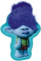 Trolls 3D Kussen Branch – 36cm | Film Merchandise Trollz Kussen met 3D print